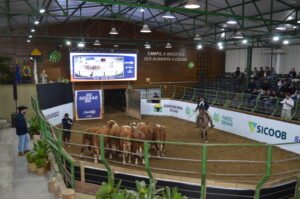 Expolages 2025 começa a ganhar forma em Lages