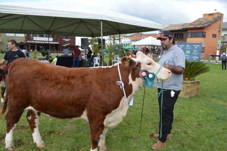 Expolages 2025 começa a ganhar forma em Lages