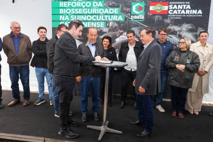 Agricultura de SC fecha 2025 com recordes, investimentos e novos programas