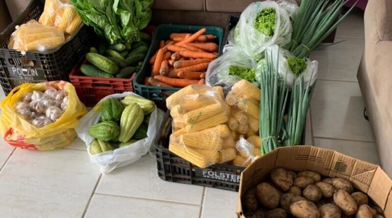 Otacílio Costa recebe nova remessa da Agricultura Familiar para merenda escolar