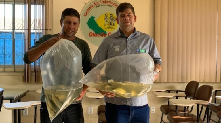 Otacílio Costa entrega mais de 10 mil alevinos a produtores rurais
