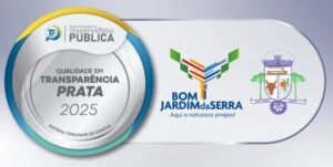 Selo Prata de Transparência
