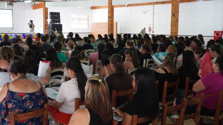 formação dos profissionais da educação