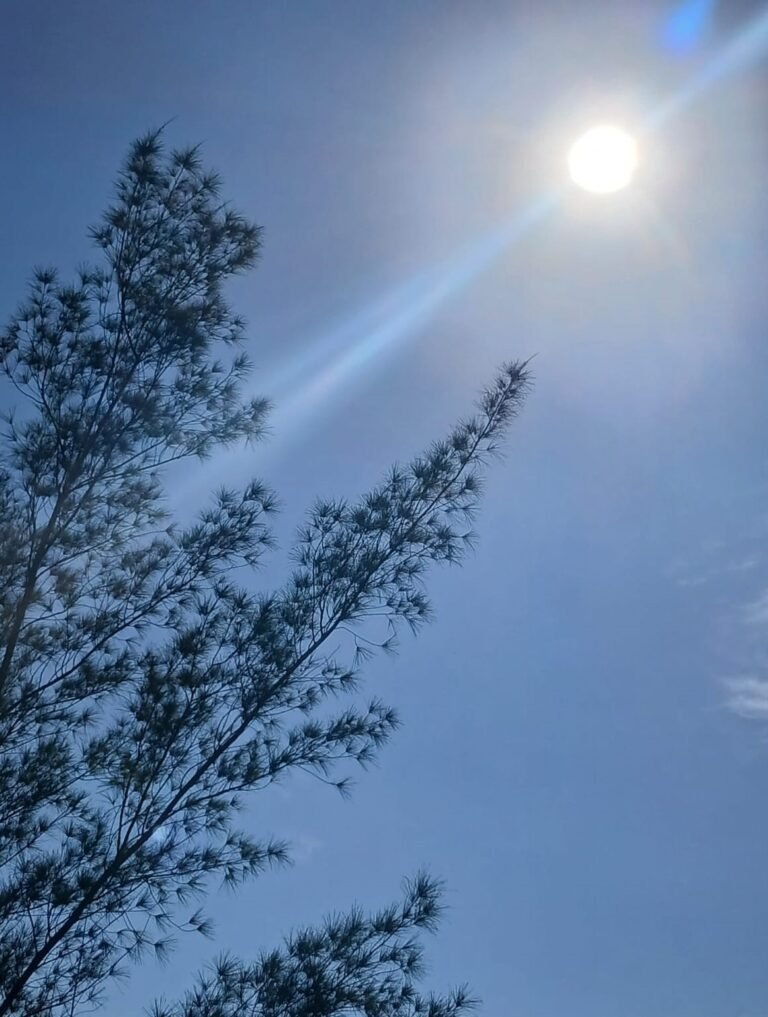 Previsão do tempo na Serra SC para esta terça (3) indica sol e UV muito alto