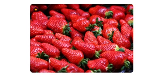 Nova regra do morango divide produtores e governo