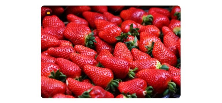 Nova regra do morango divide produtores e governo