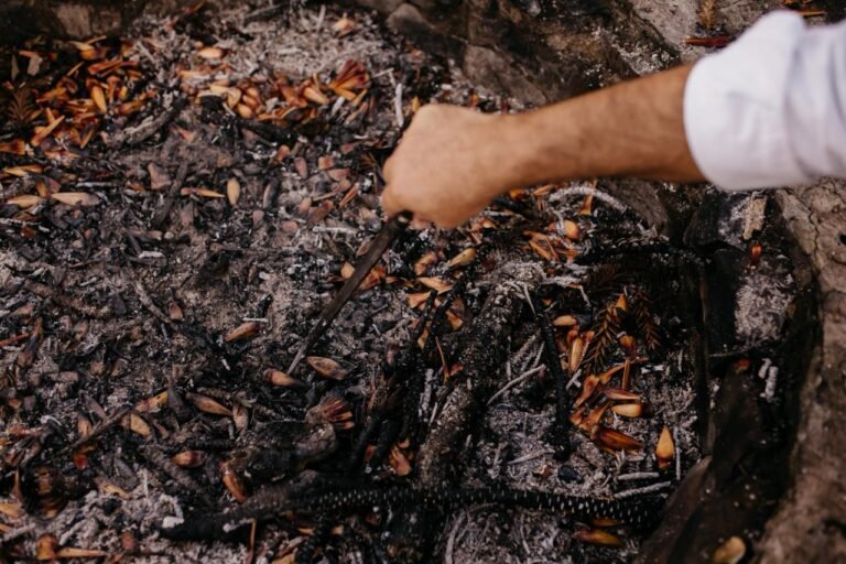 Sapecada do pinhão mantém tradição e aquece o turismo na Serra Catarinense