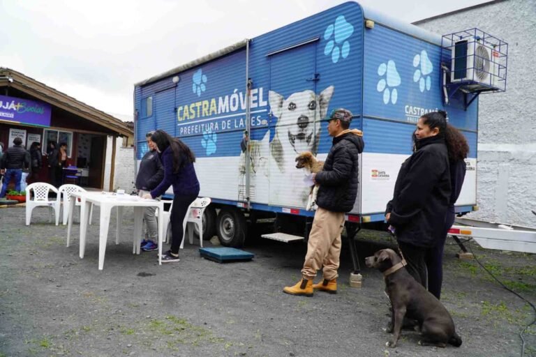 Mutirão de castração oferece 70 vagas para cães e gatos em Lages