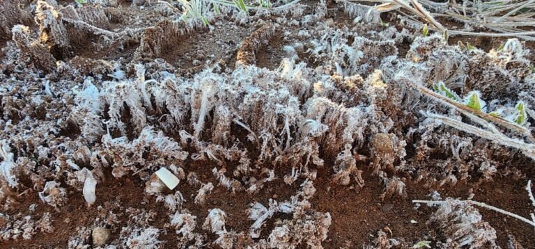 frio intenso na Serra Catarinense