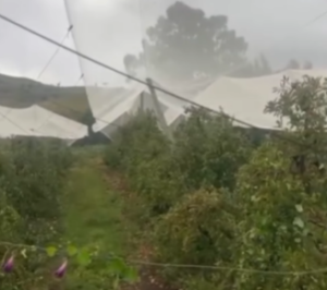 ventania em São Joaquim