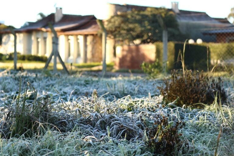 onda de frio em Lages