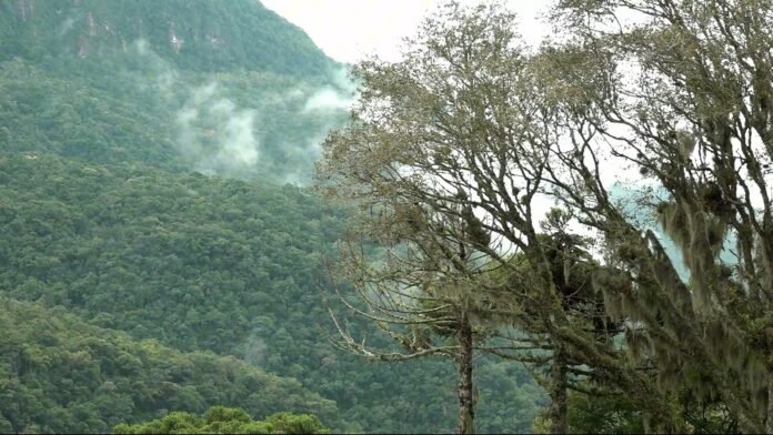 inverno na Serra Catarinense