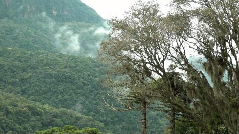 inverno na Serra Catarinense