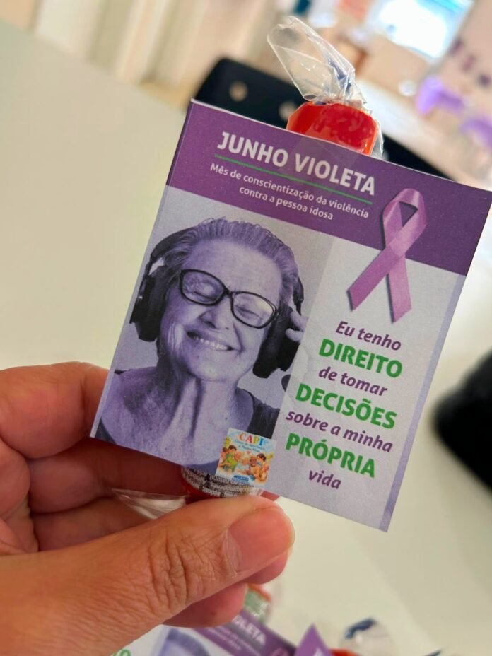Junho Violeta em Lages