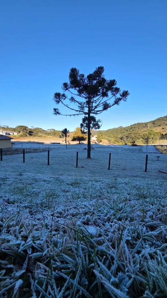 Como fotografar o inverno na Serra Catarinense