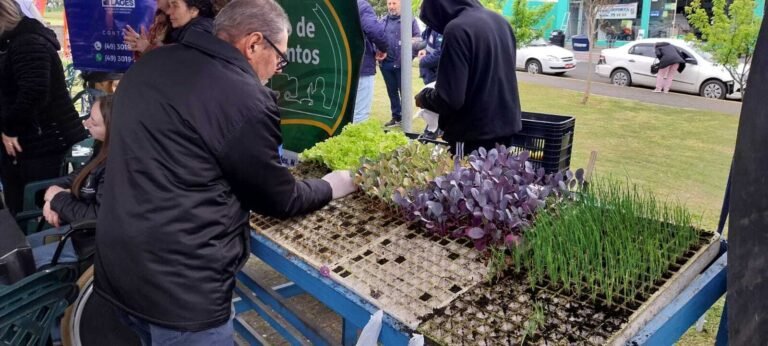 mudas de hortaliças em Lages