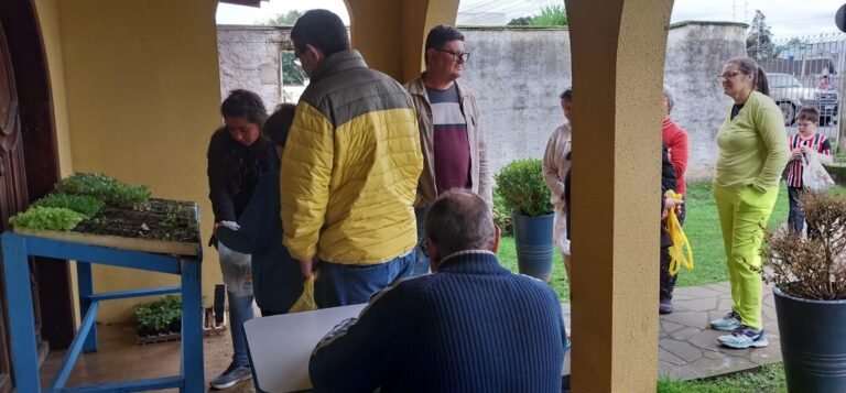 mudas de cebola gratuitas