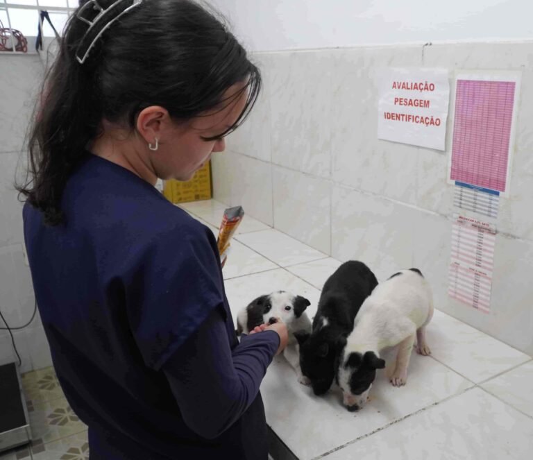 Centro de Bem-Estar Animal de Lages